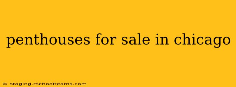 penthouses for sale in chicago