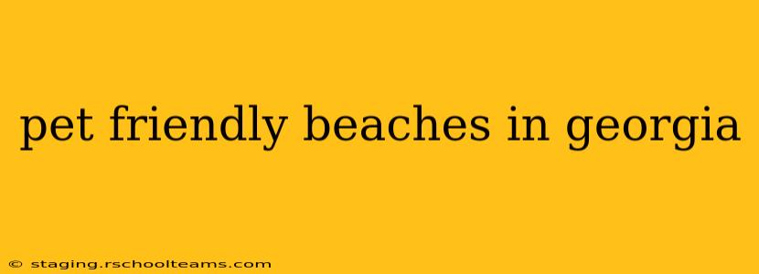 pet friendly beaches in georgia