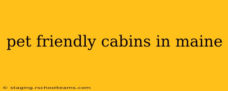 pet friendly cabins in maine
