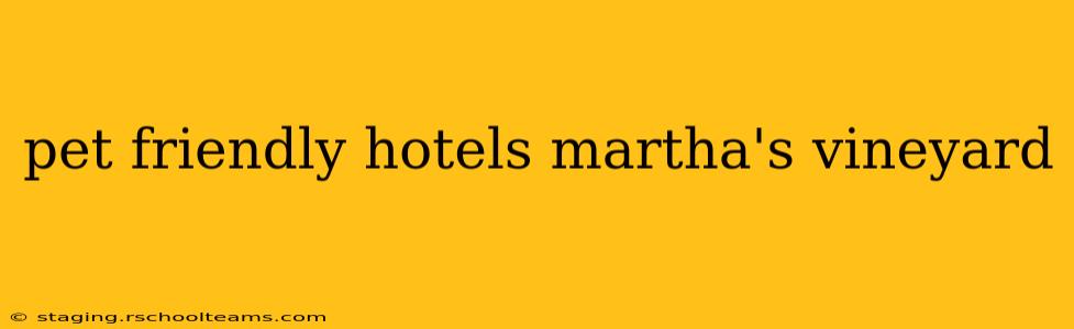 pet friendly hotels martha's vineyard