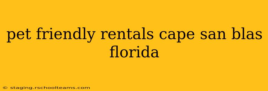 pet friendly rentals cape san blas florida