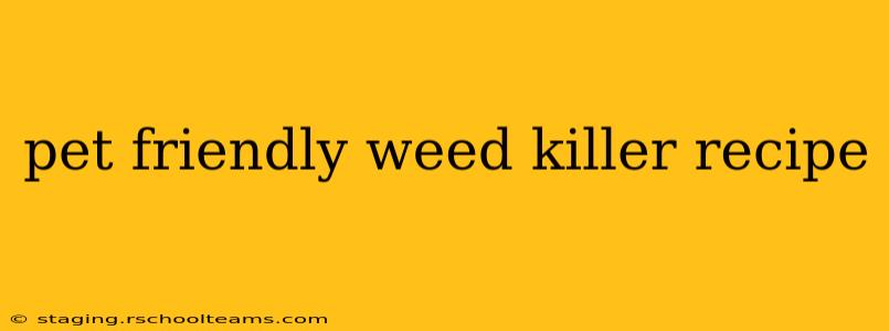 pet friendly weed killer recipe
