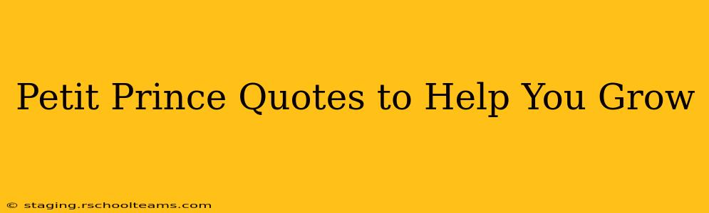 Petit Prince Quotes to Help You Grow