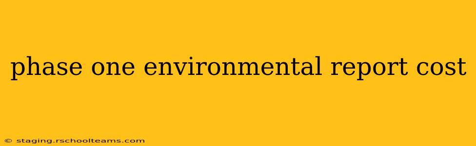 phase one environmental report cost