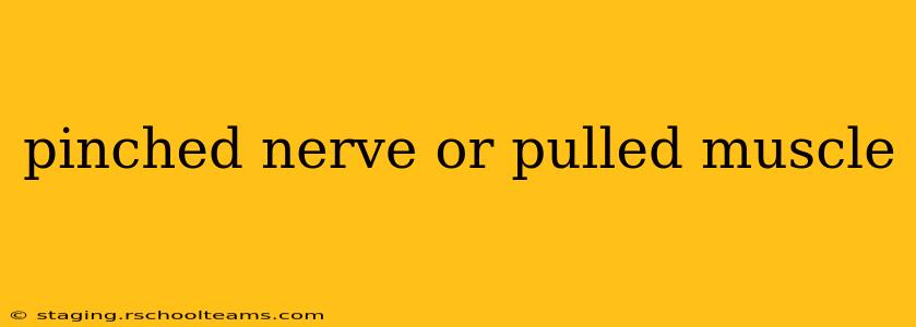 pinched nerve or pulled muscle