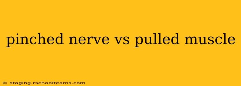 pinched nerve vs pulled muscle