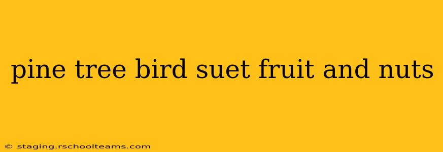 pine tree bird suet fruit and nuts