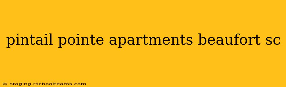 pintail pointe apartments beaufort sc