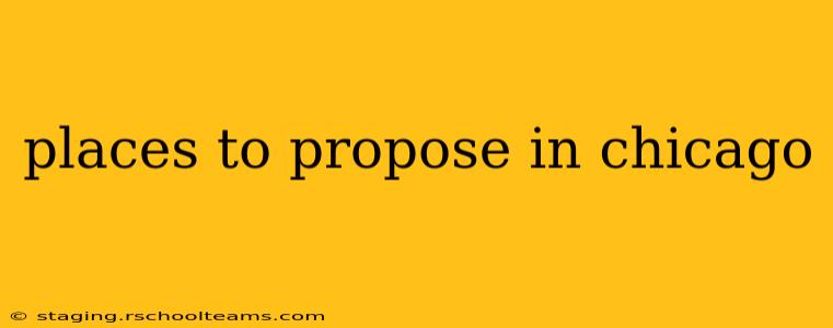 places to propose in chicago