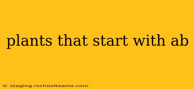 plants that start with ab
