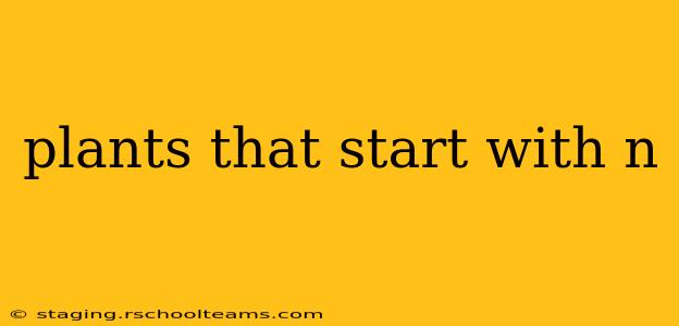 plants that start with n