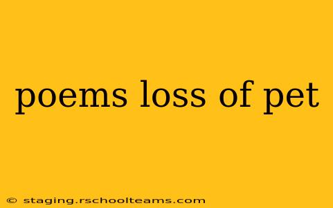 poems loss of pet