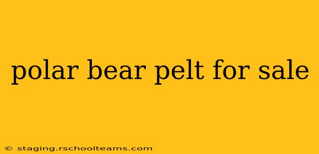 polar bear pelt for sale