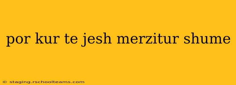 por kur te jesh merzitur shume