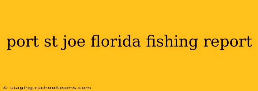 port st joe florida fishing report