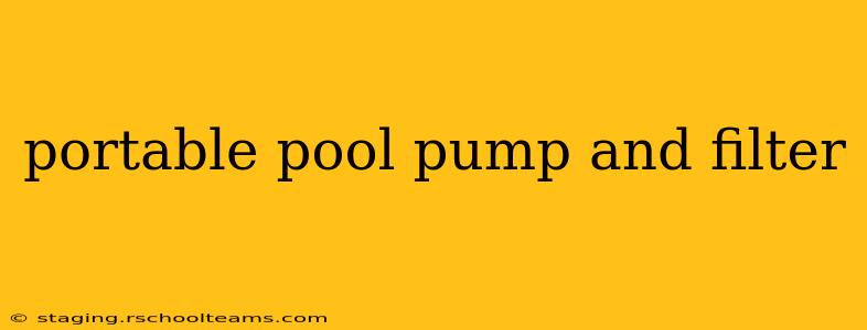 portable pool pump and filter