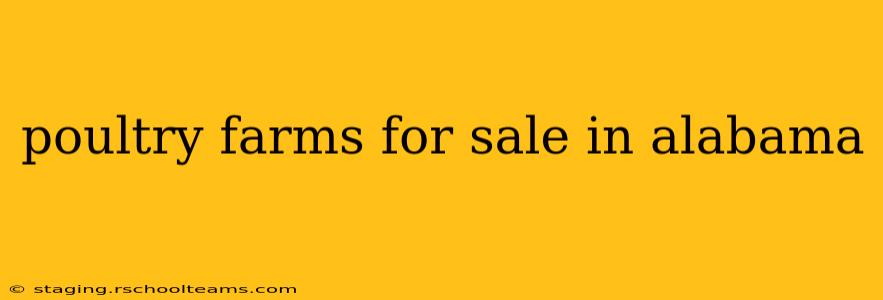 poultry farms for sale in alabama
