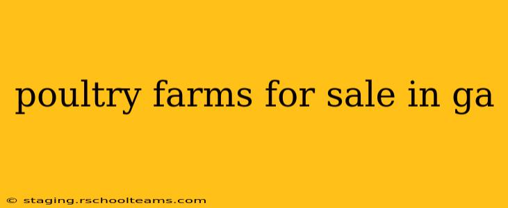 poultry farms for sale in ga