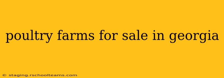 poultry farms for sale in georgia