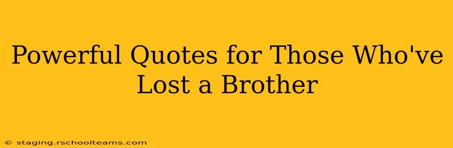 Powerful Quotes for Those Who've Lost a Brother