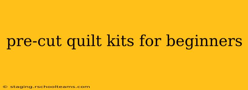 pre-cut quilt kits for beginners