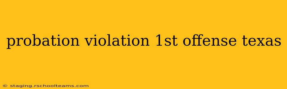 probation violation 1st offense texas