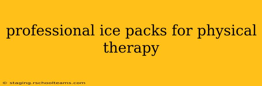 professional ice packs for physical therapy