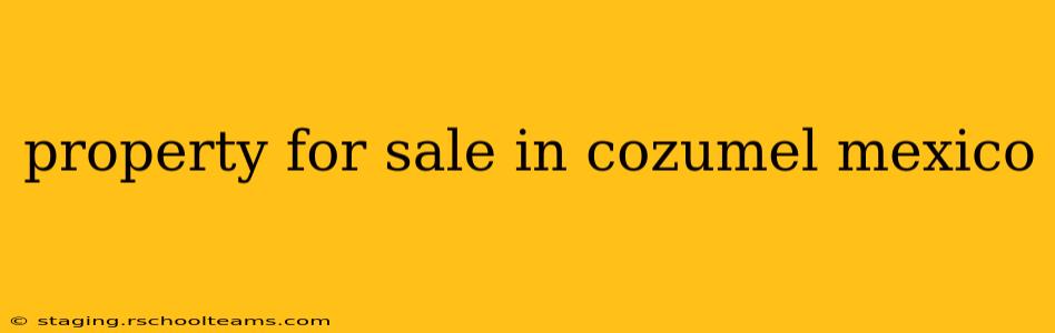 property for sale in cozumel mexico