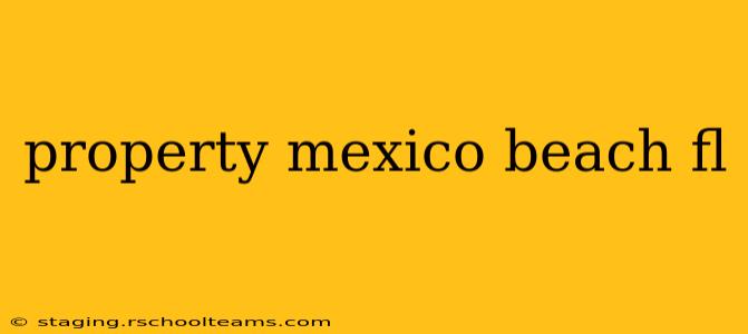 property mexico beach fl