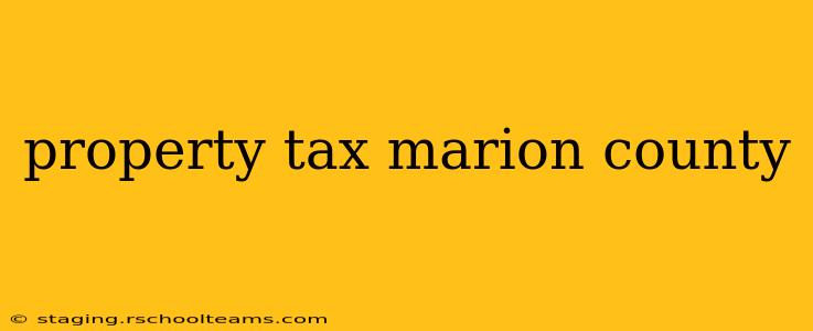 property tax marion county