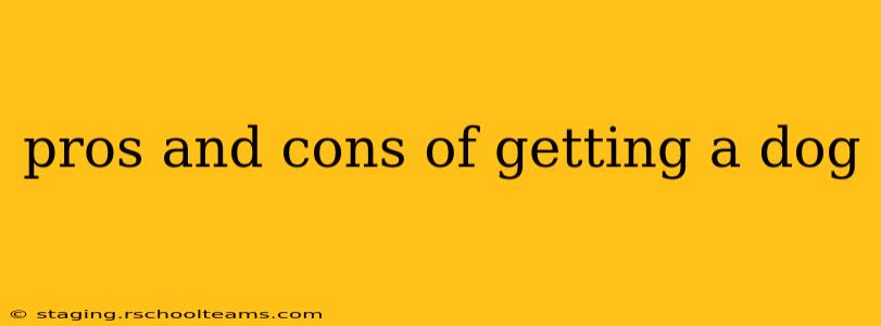 pros and cons of getting a dog