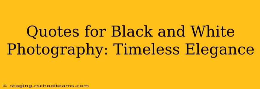 Quotes for Black and White Photography: Timeless Elegance