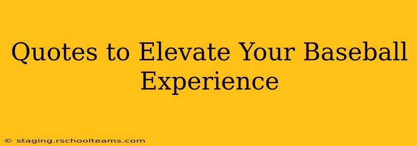 Quotes to Elevate Your Baseball Experience
