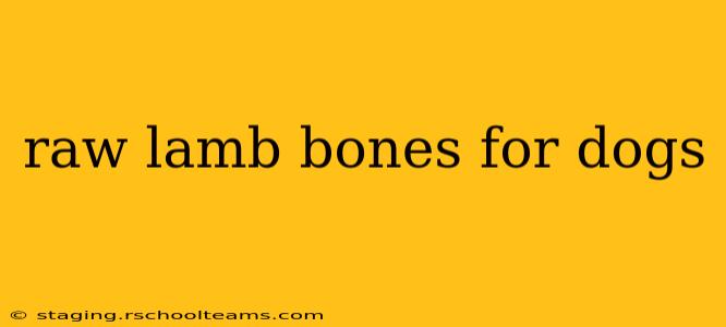 raw lamb bones for dogs