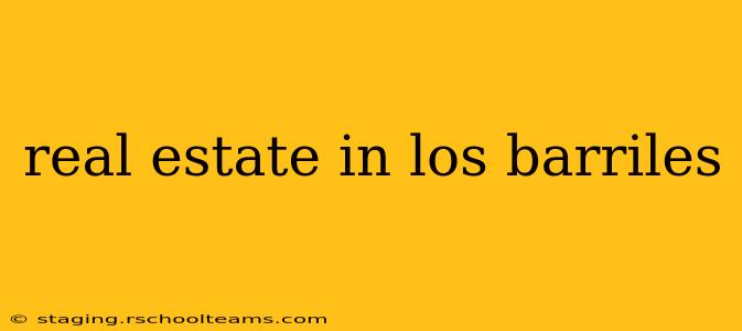 real estate in los barriles