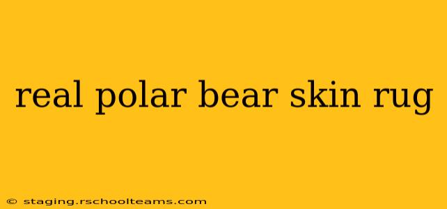 real polar bear skin rug
