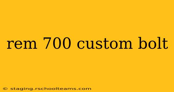 rem 700 custom bolt