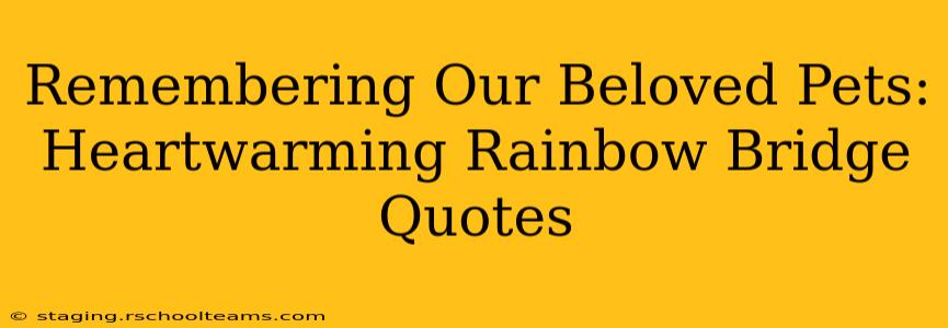 Remembering Our Beloved Pets: Heartwarming Rainbow Bridge Quotes