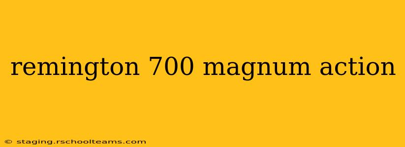 remington 700 magnum action
