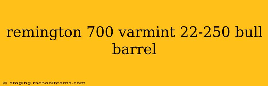 remington 700 varmint 22-250 bull barrel