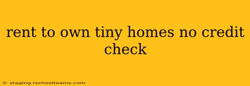 rent to own tiny homes no credit check