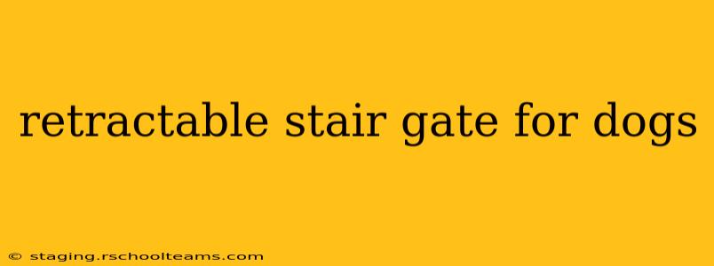 retractable stair gate for dogs
