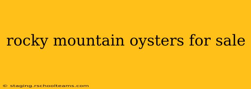 rocky mountain oysters for sale