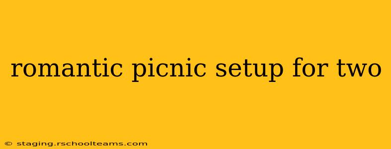 romantic picnic setup for two