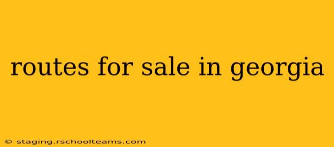 routes for sale in georgia