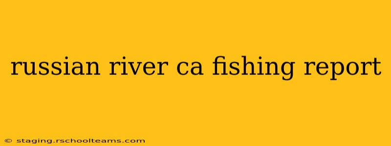 russian river ca fishing report