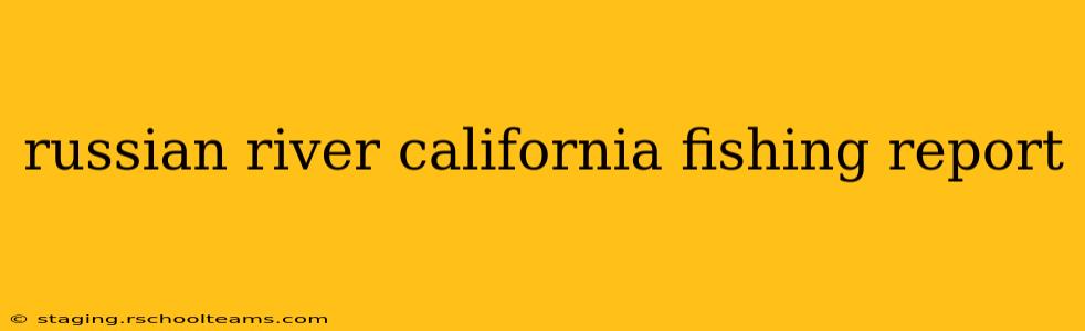 russian river california fishing report