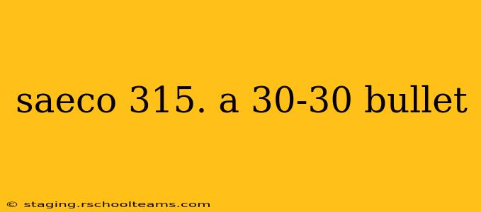 saeco 315. a 30-30 bullet