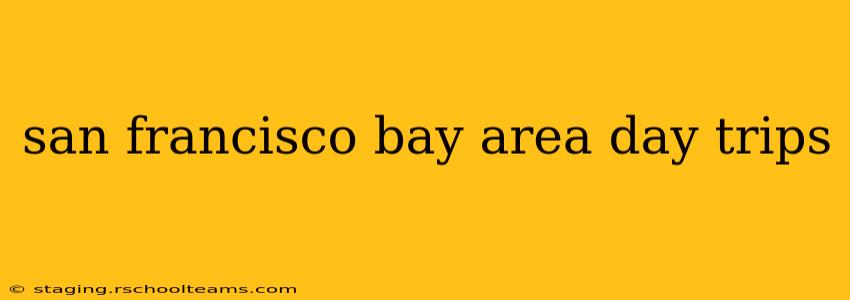 san francisco bay area day trips
