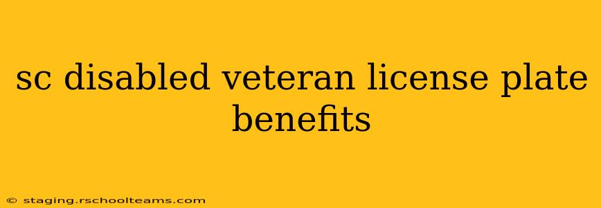 sc disabled veteran license plate benefits